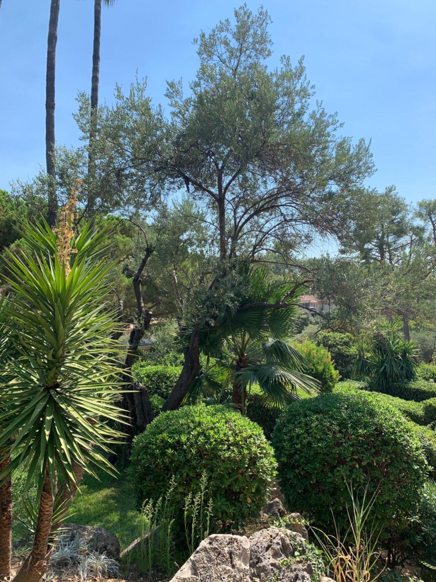 French Riviera Apartment With Swimming Pool And Free Parking Near Monaco Roquebrune-Cap-Martin Εξωτερικό φωτογραφία